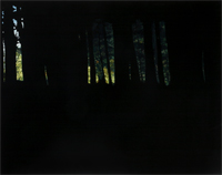 Thumbnail of Dark Woods 3
