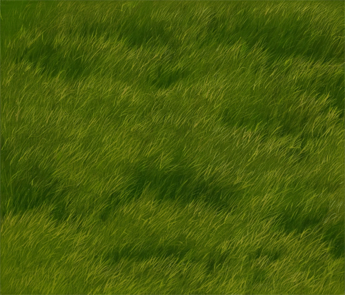 Picture of Grass