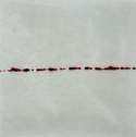 thumbnail of picture:  small line in snow