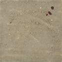 thumbnail of picture:  trail 1