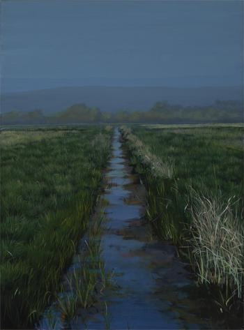 picture of a drain on the somerset levels